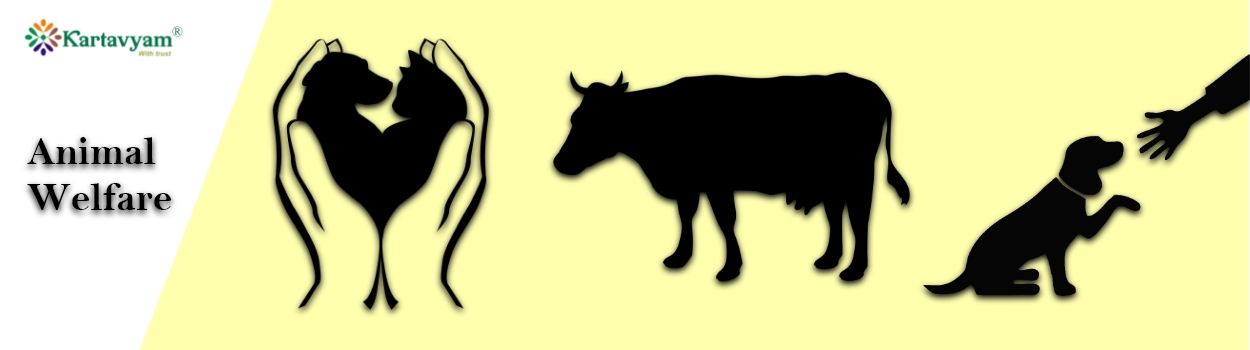 SPRK default preset name custom 1